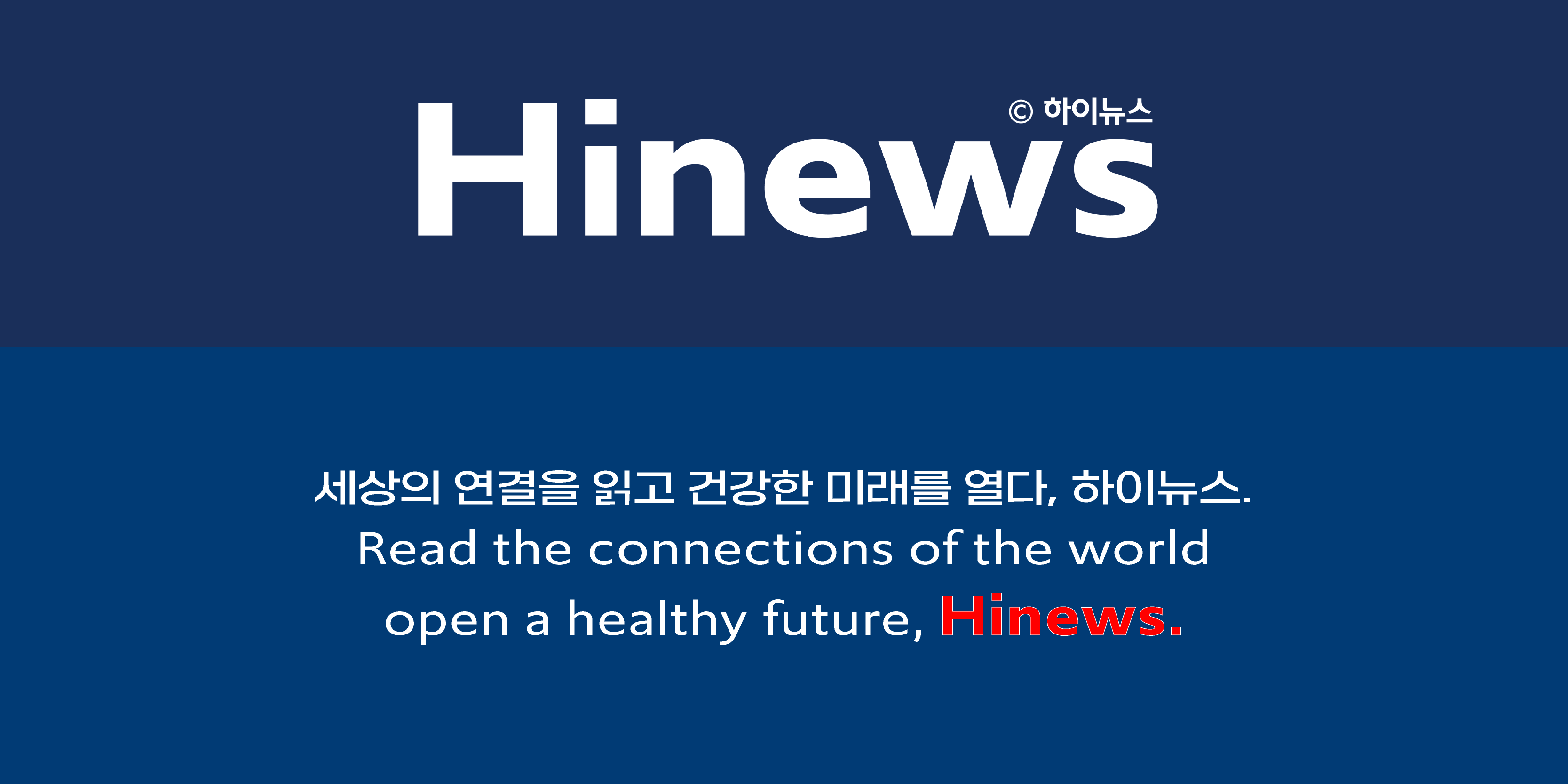 하이뉴스